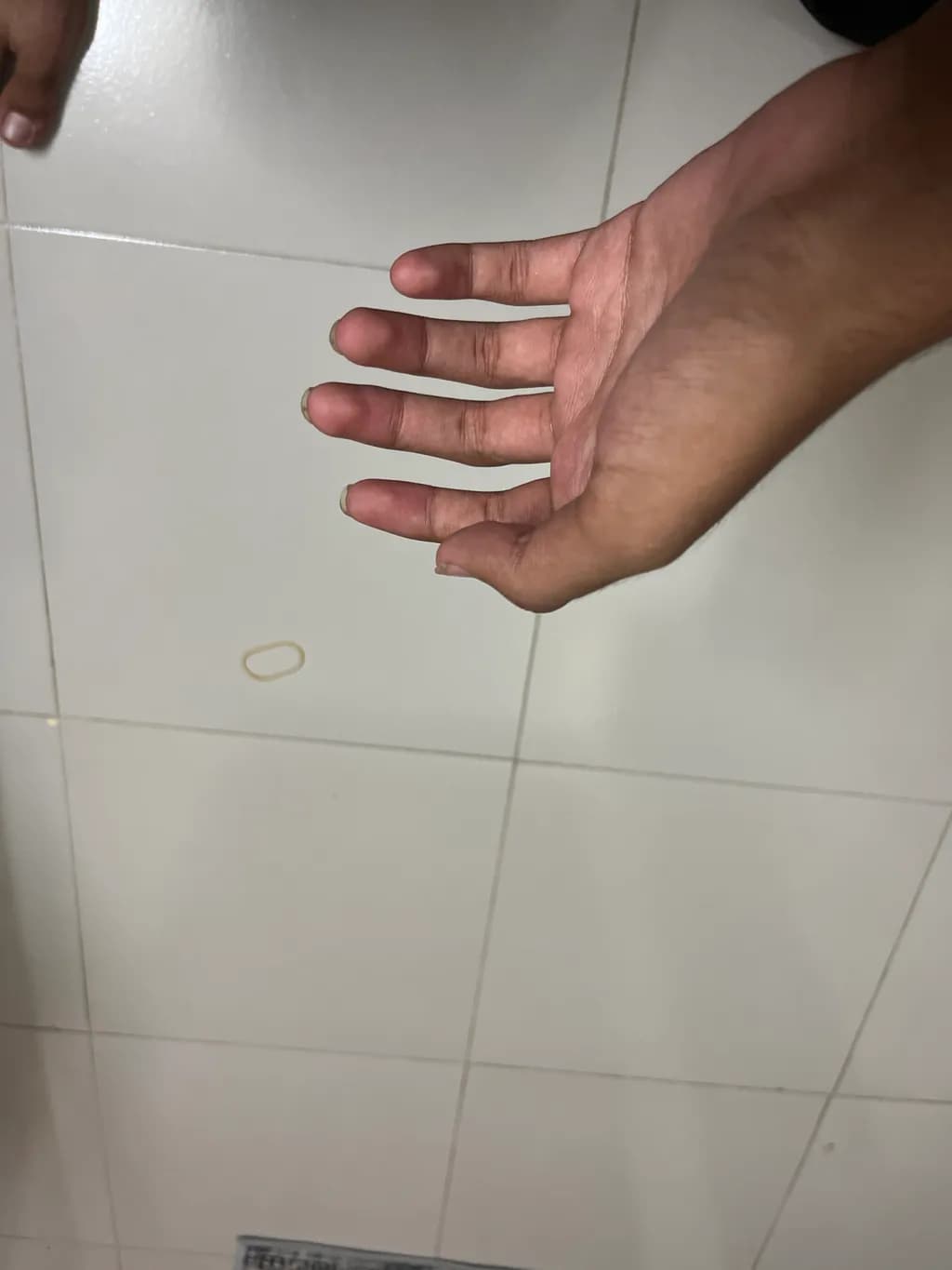 Open Palm