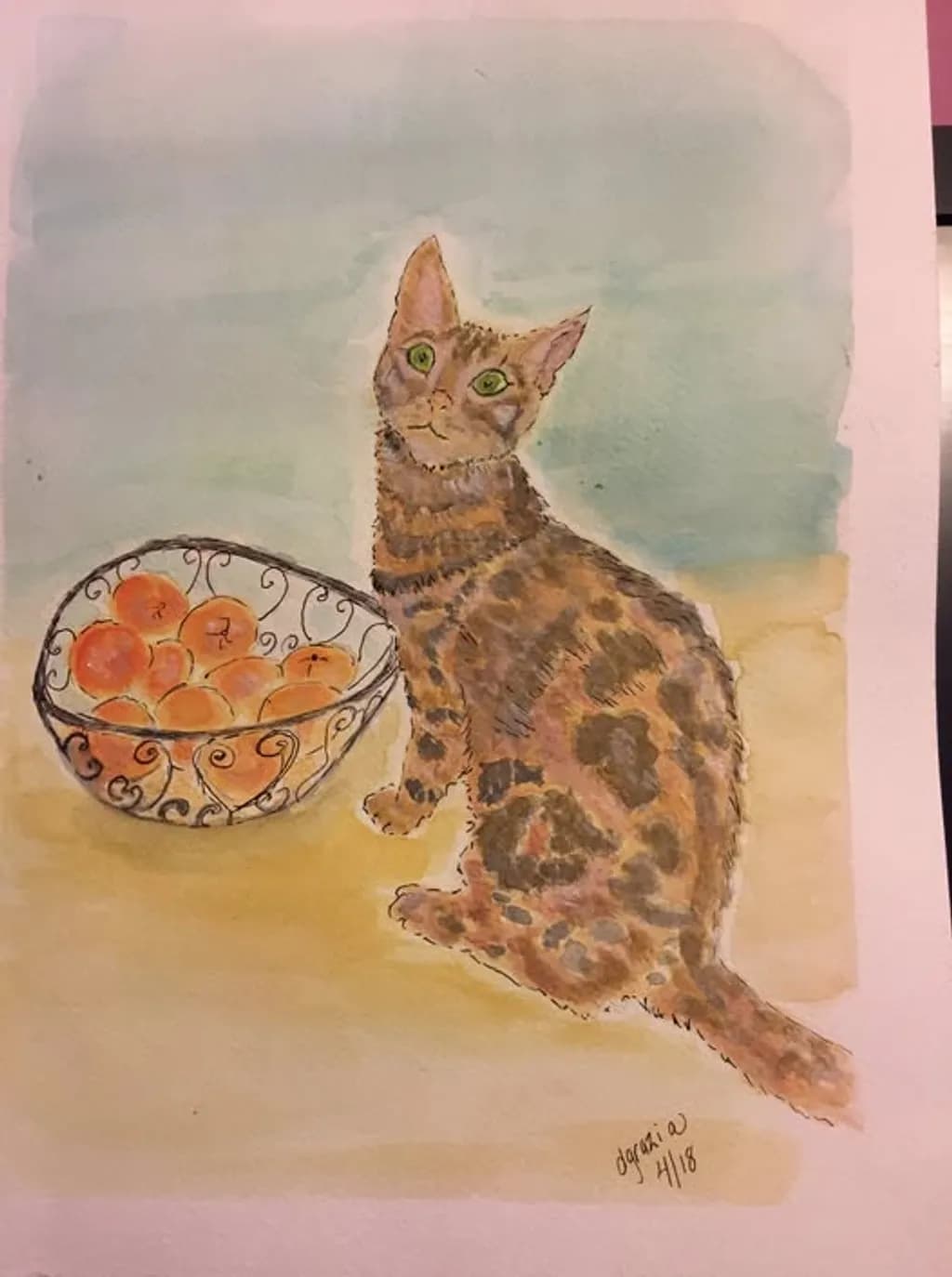 Spotted Cat and Oranges