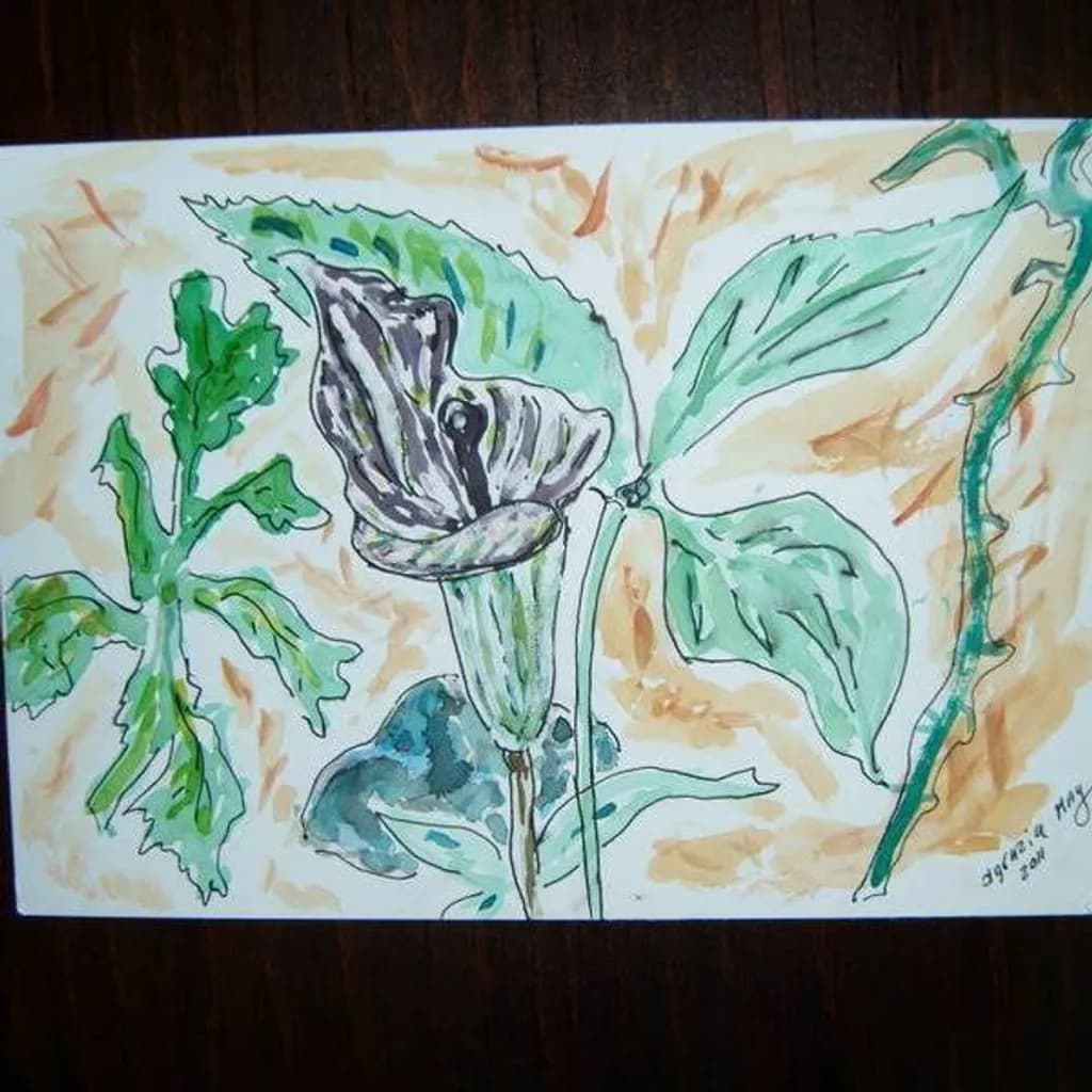 Botanical Outline