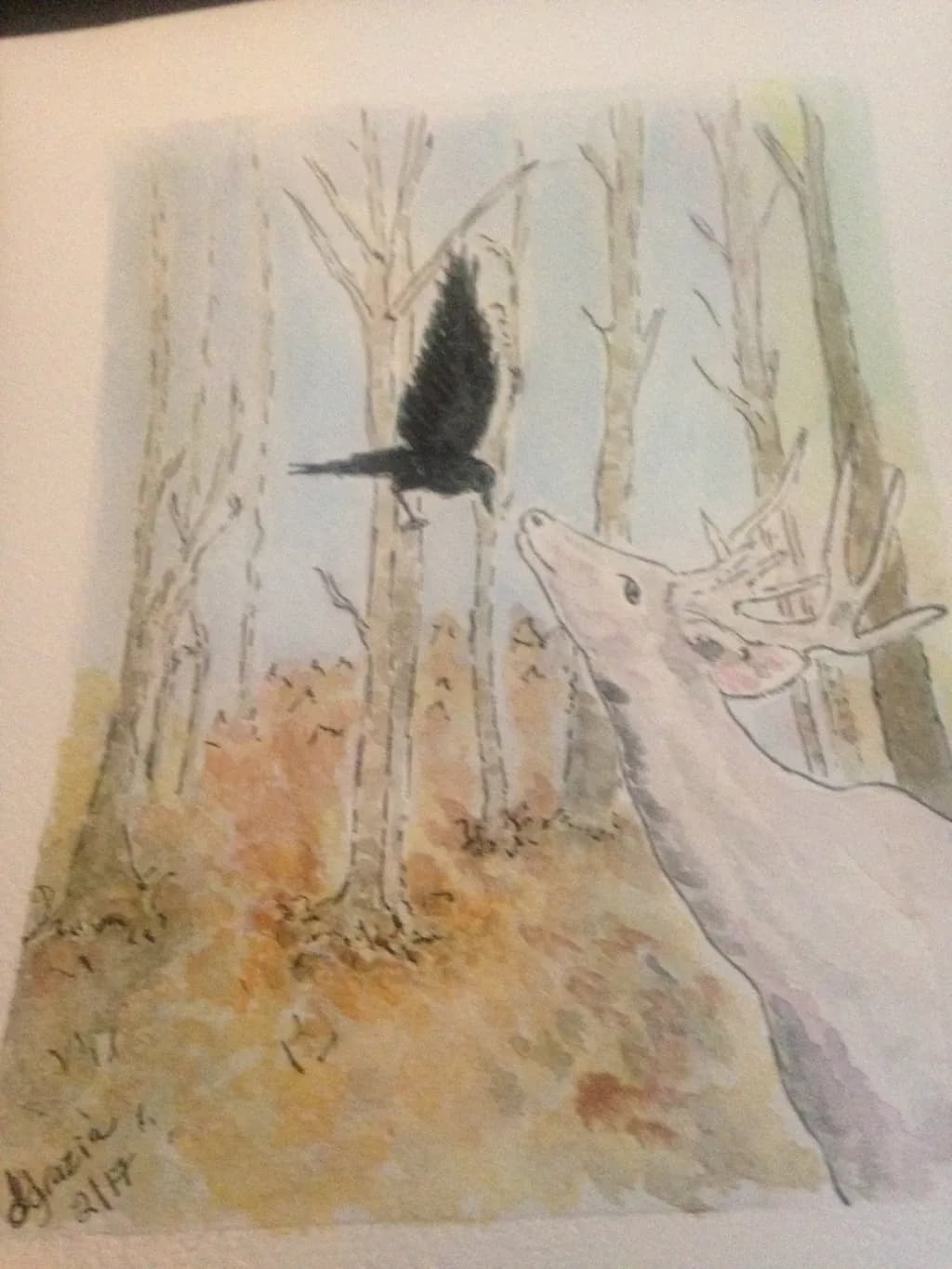 Forest Encounter