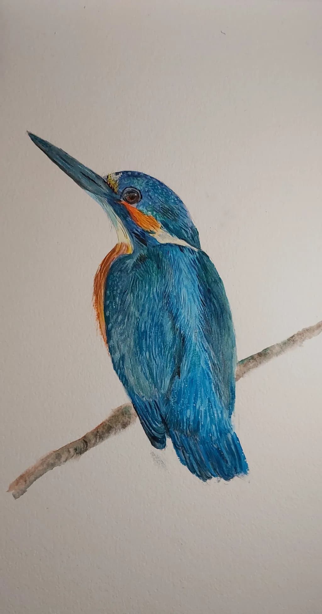 Blue Kingfisher Perch