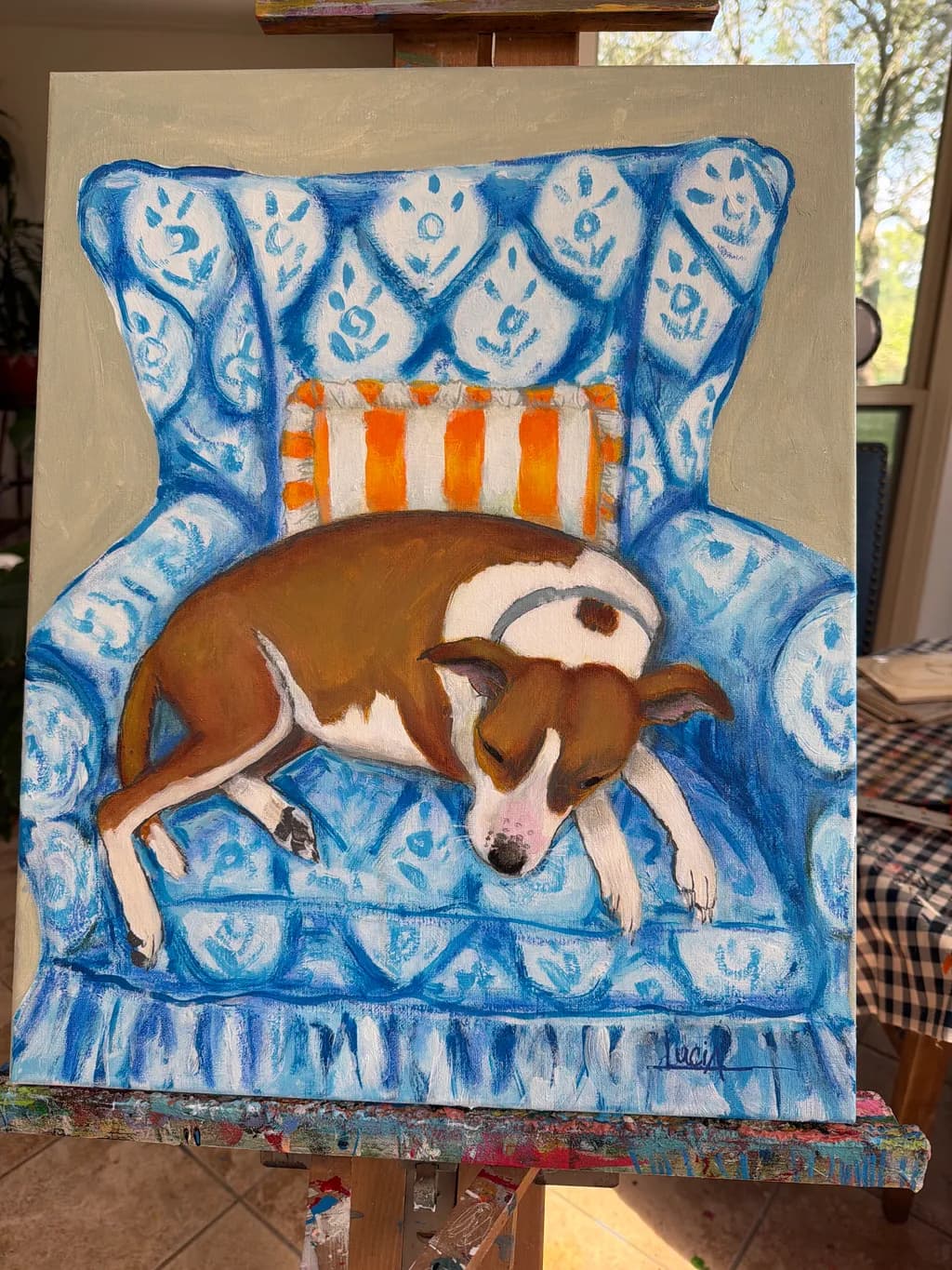 Dog on Blue Chair