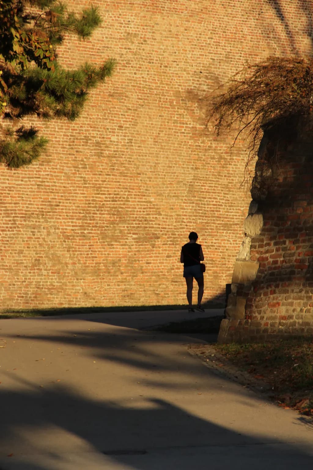 Shadowed Passage