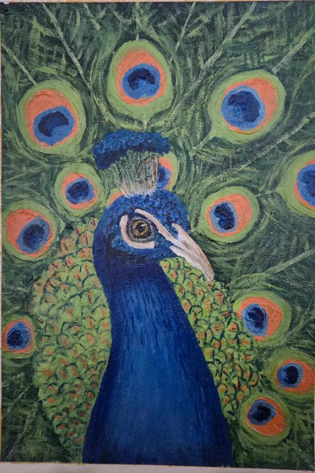 Peacock Gaze