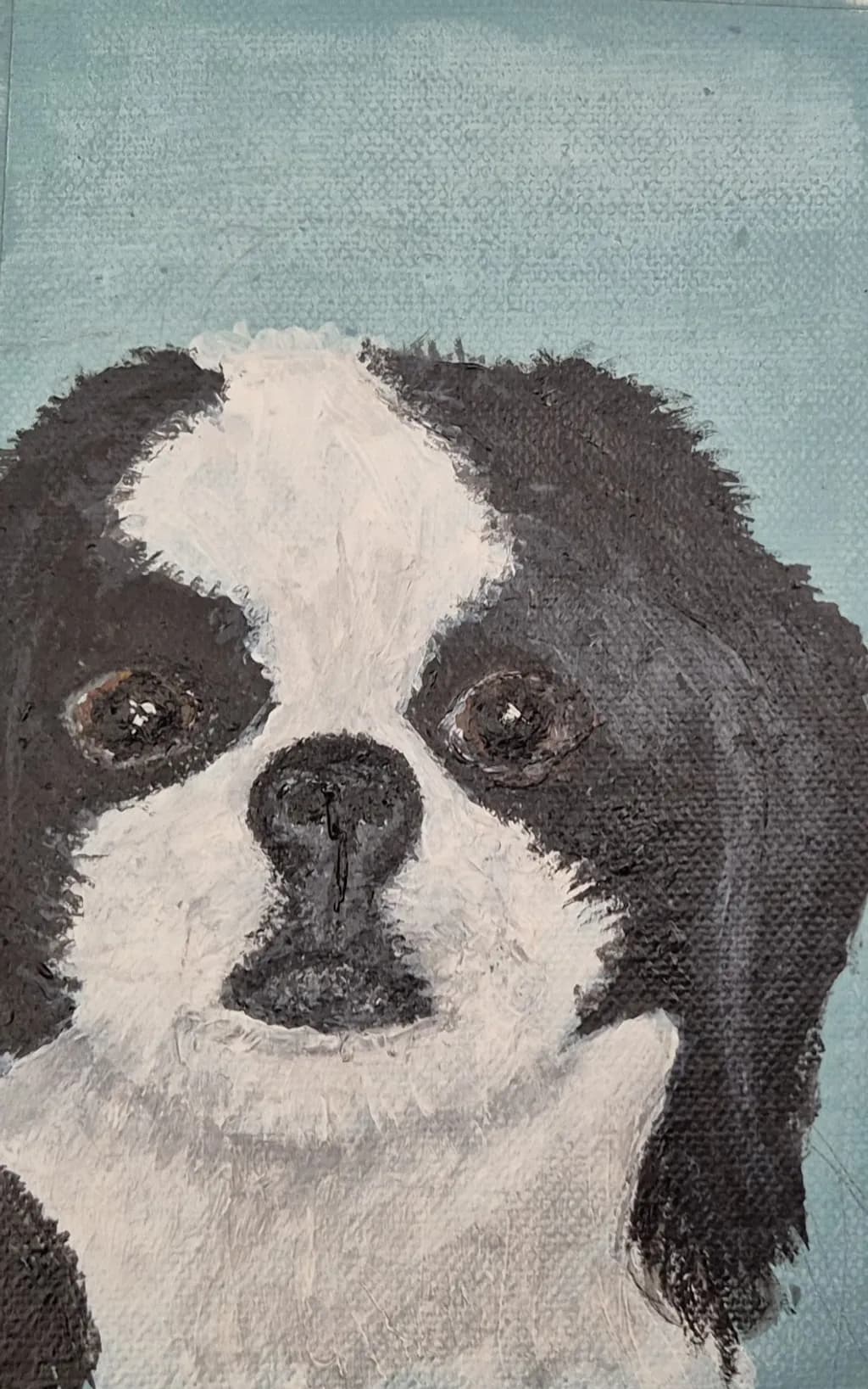 Black and White Pup