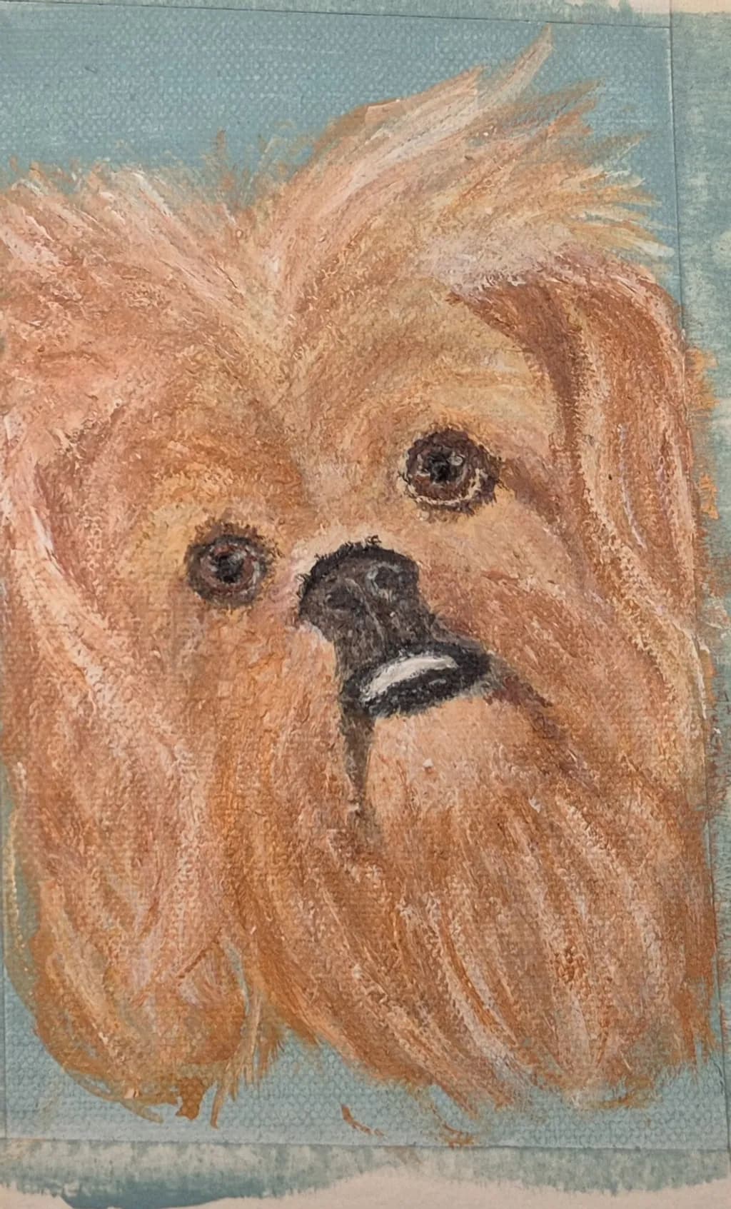 Furry Gaze