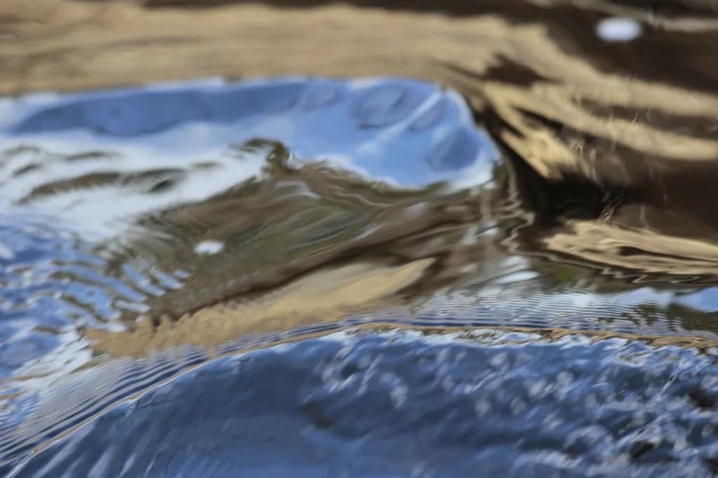 Rippling Horizons
