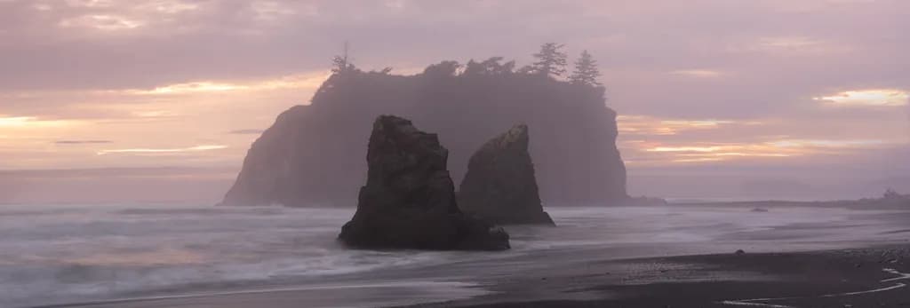 A Gathering Of Quiet Forms