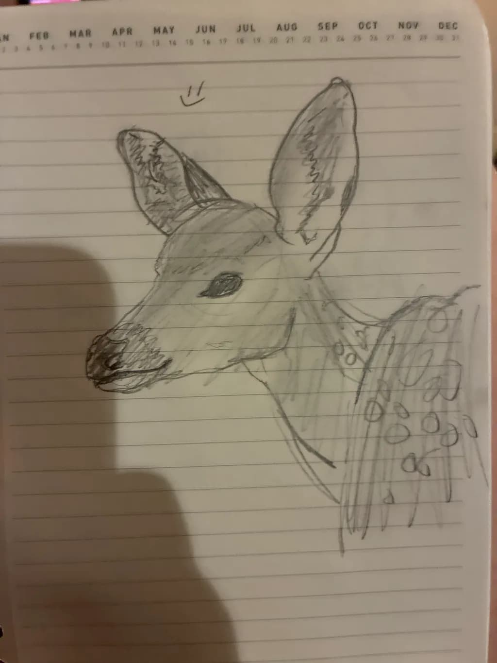 Spotted Fawn Portrait