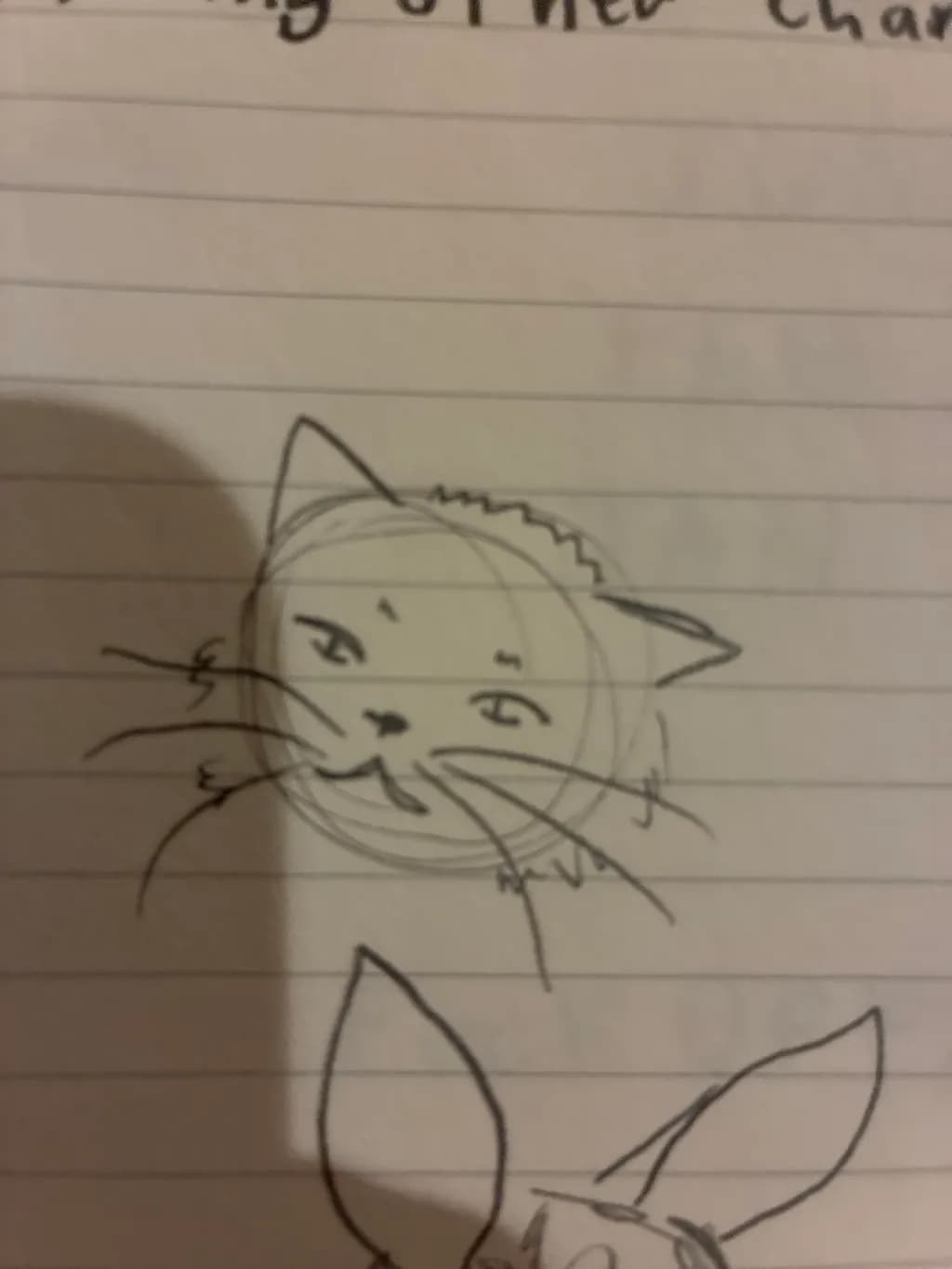 Curious Cat Face