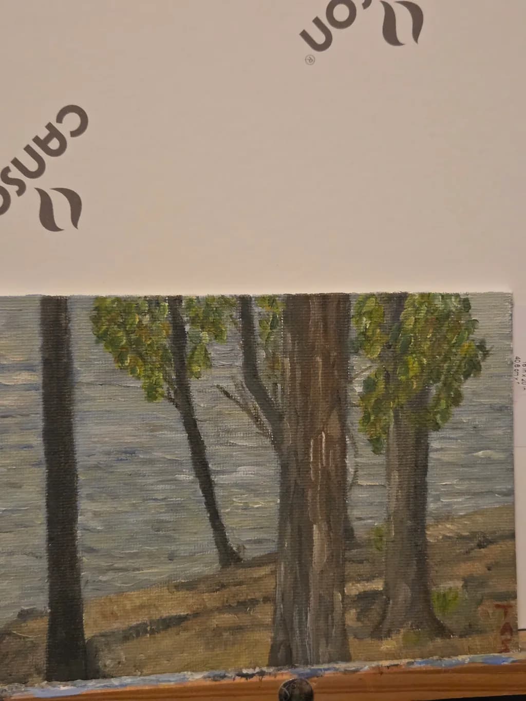 Riverside Trees