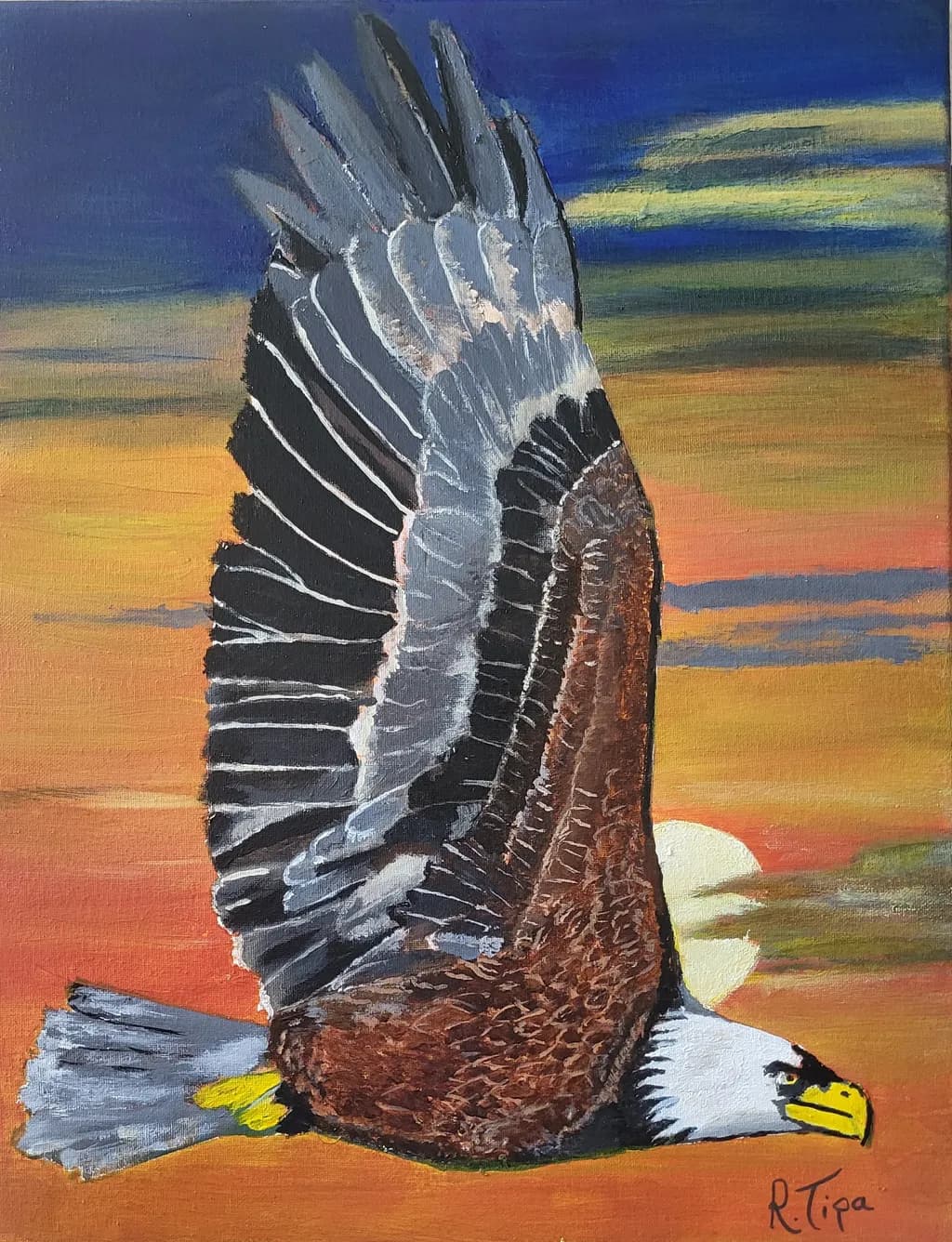 Sunset Soar