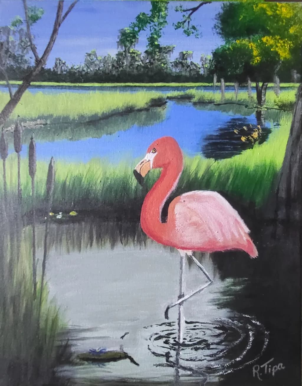 Marsh Sentinel