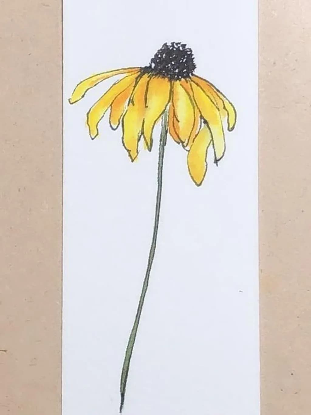 Drooping Coneflower