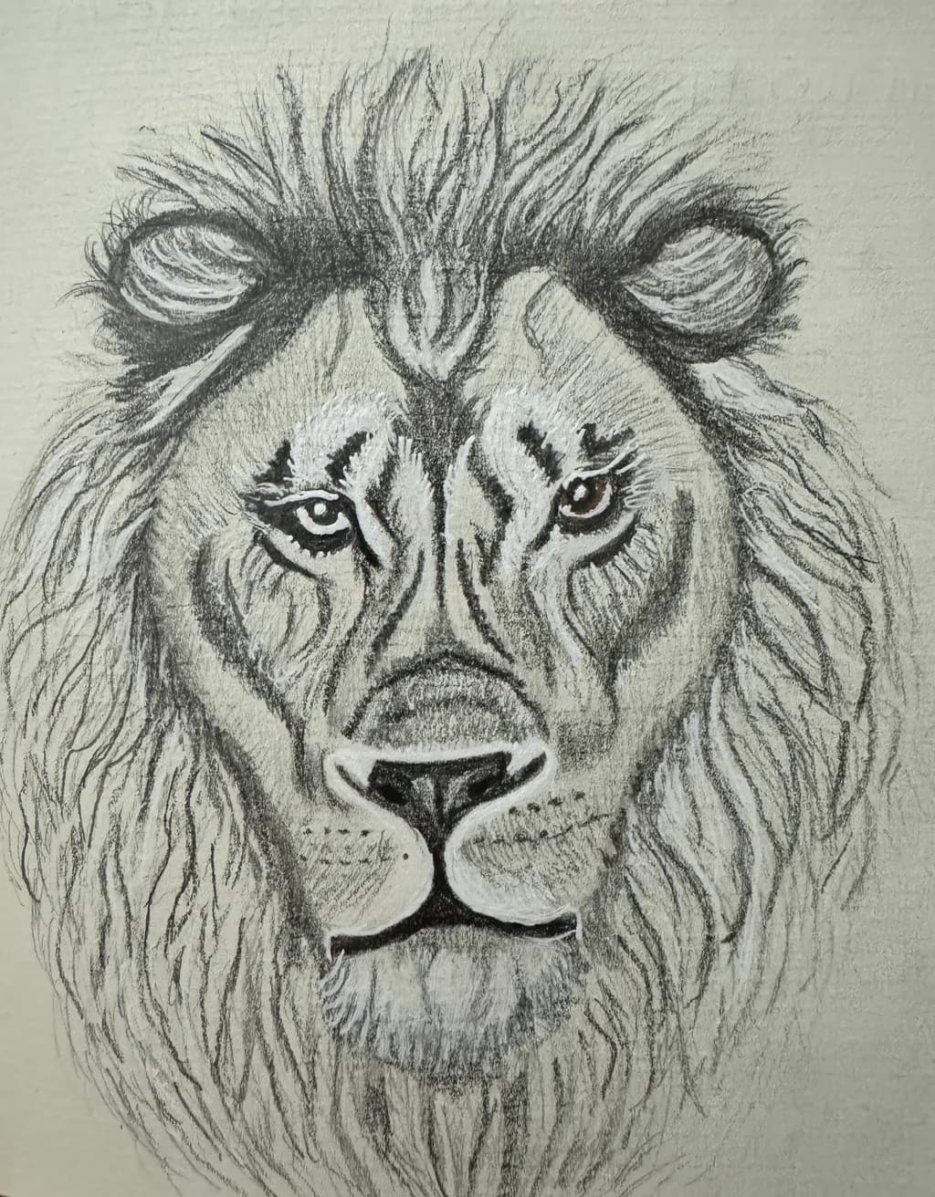 Majestic Gaze