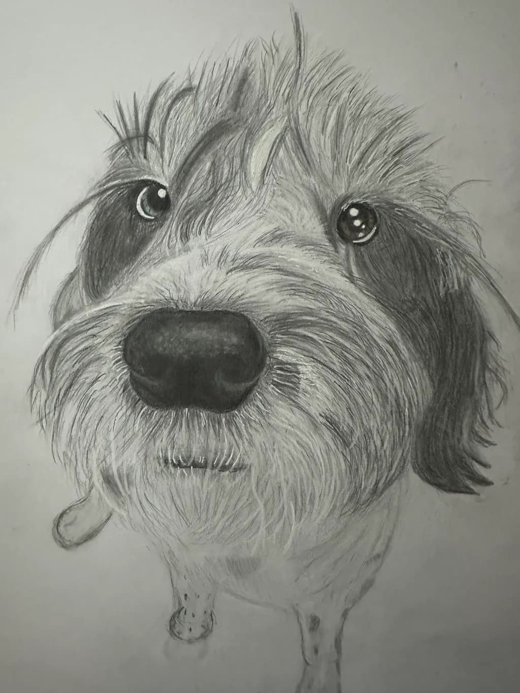 Big Nose Perspective