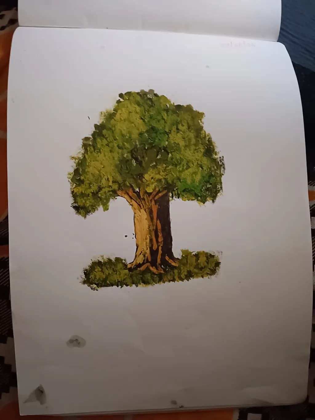 Verdant Oak