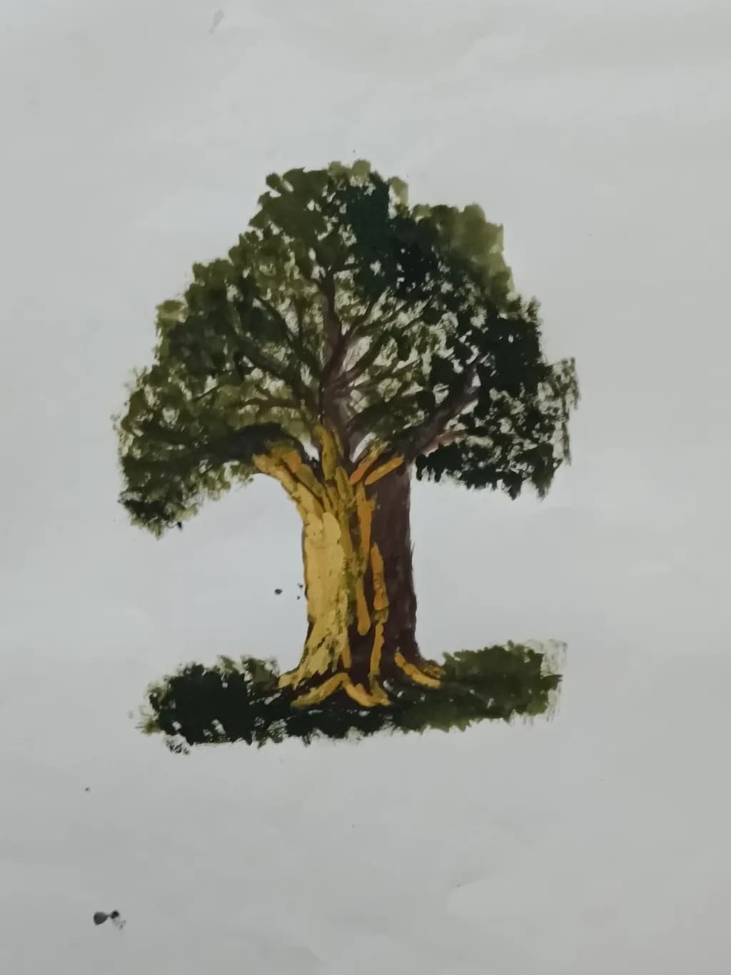 Twin Trunk Oak