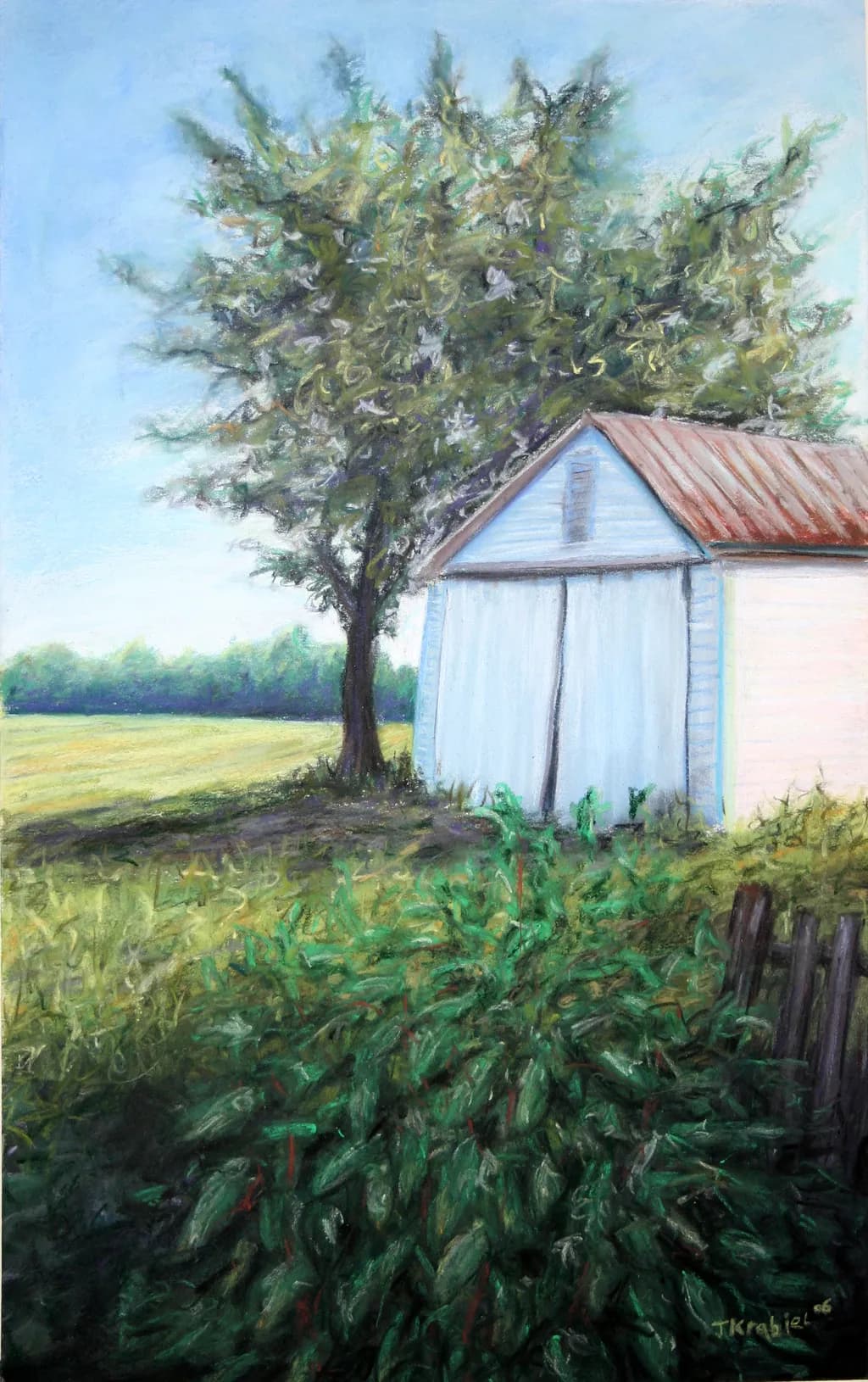 Farm Shed Shadows
