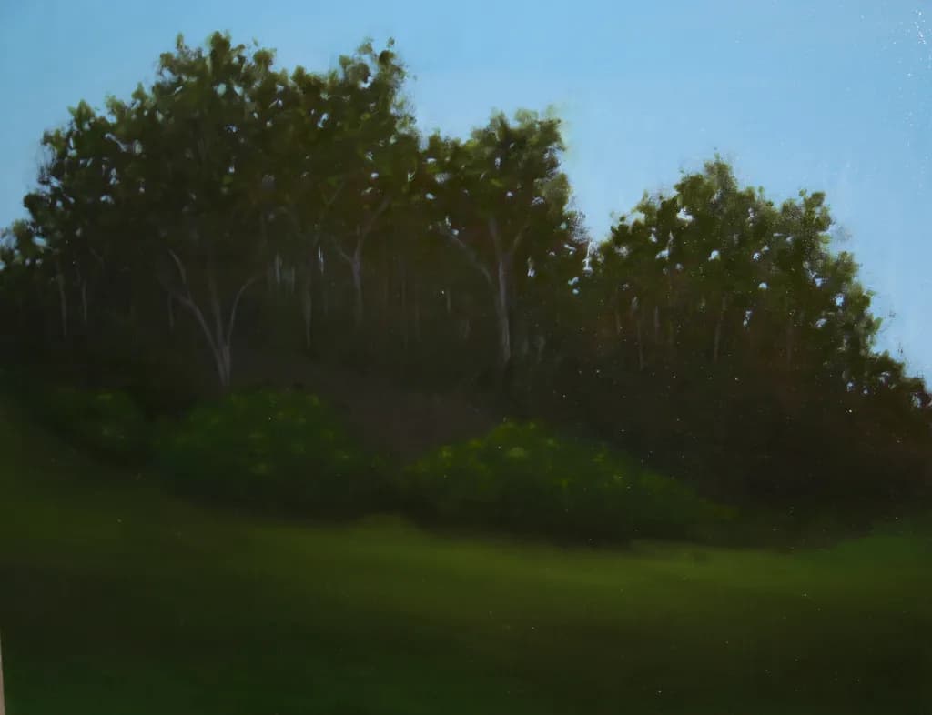 Wooded Silence