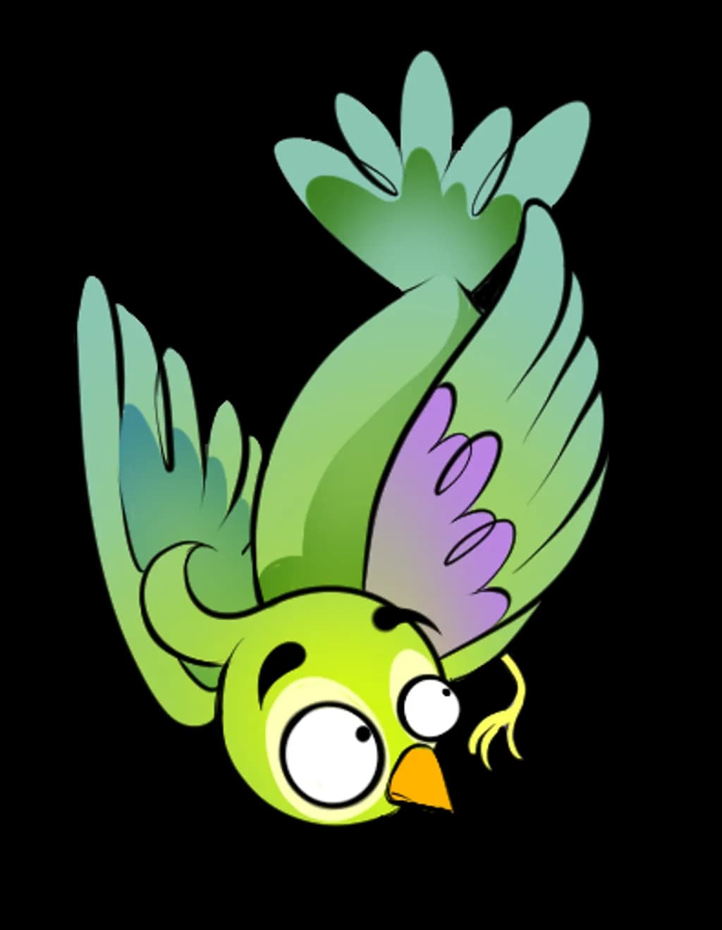 Curious Bird