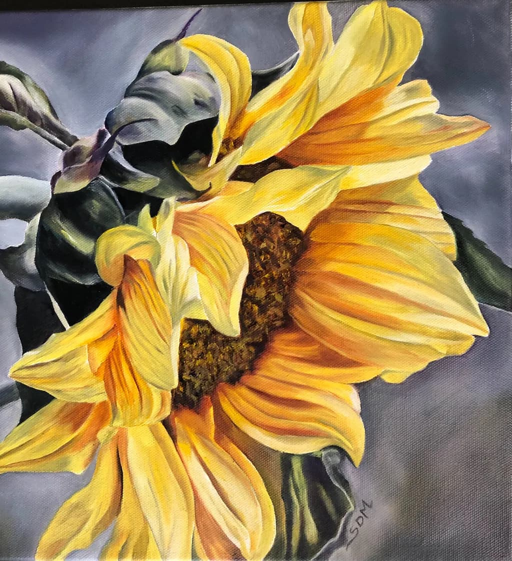 Sunflower Unfolding