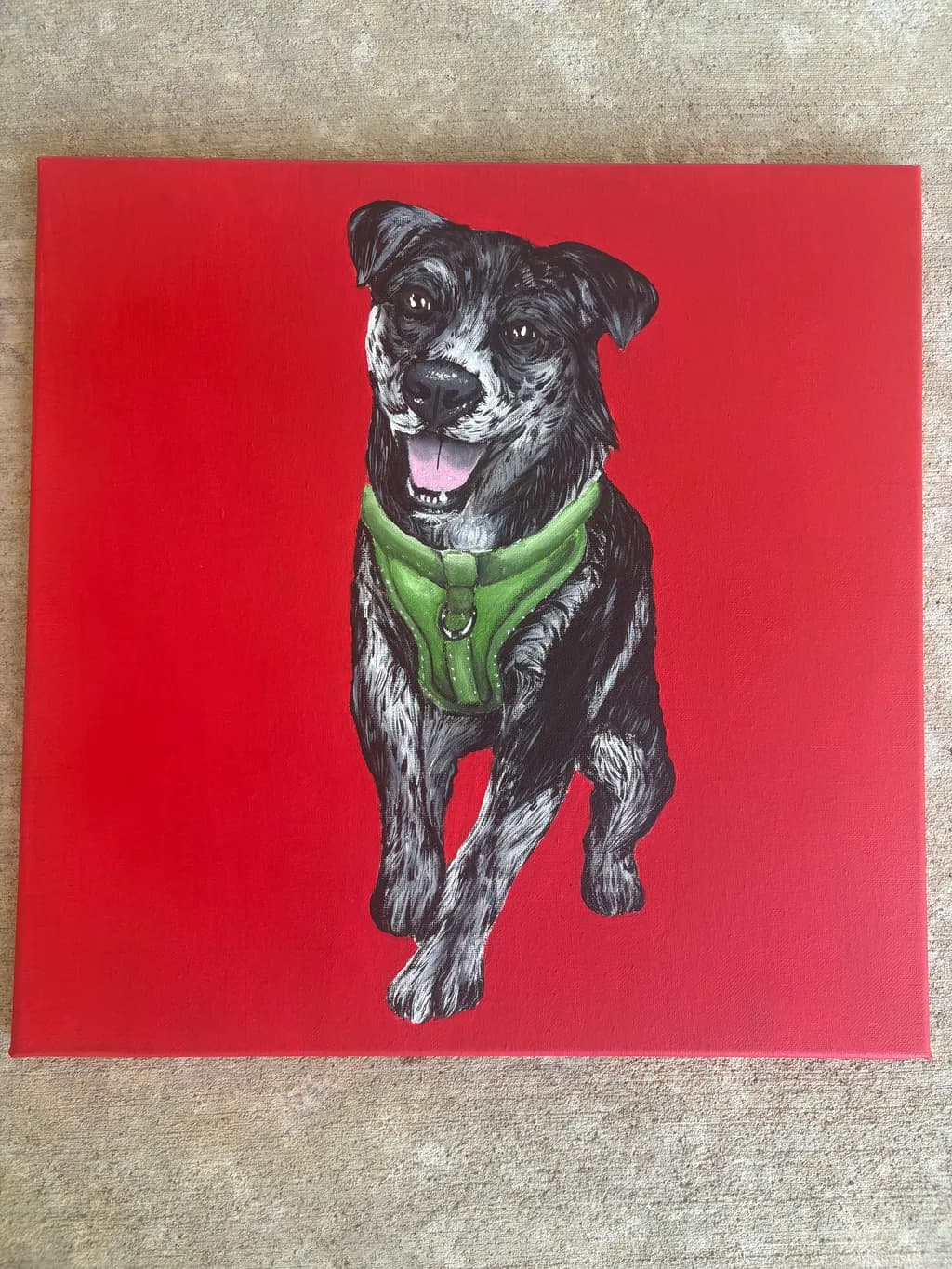 Joyful Pup on Red
