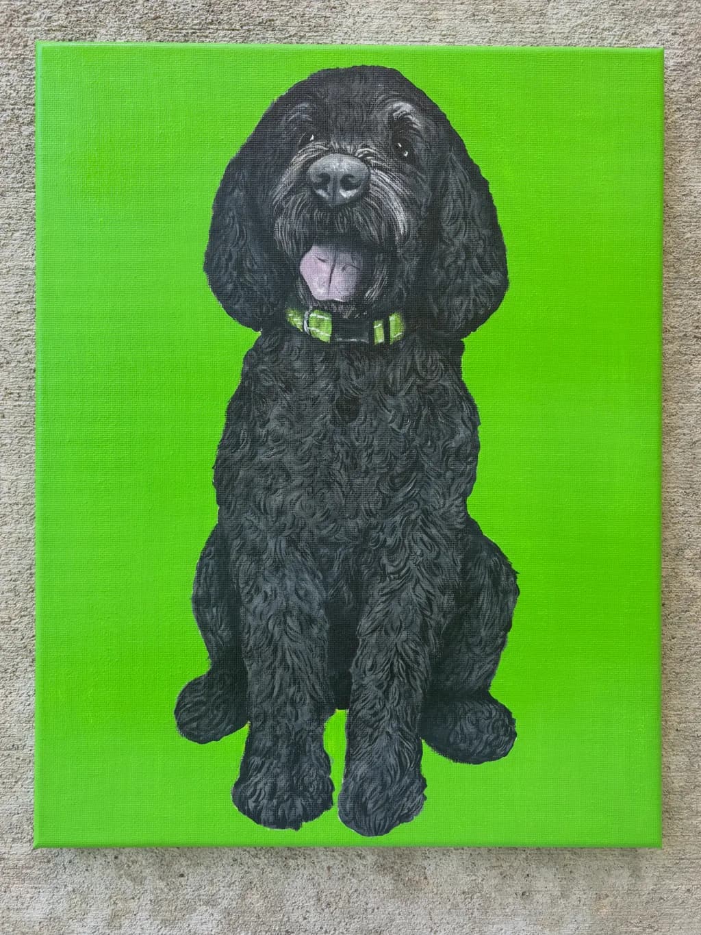 Curly Black Lab