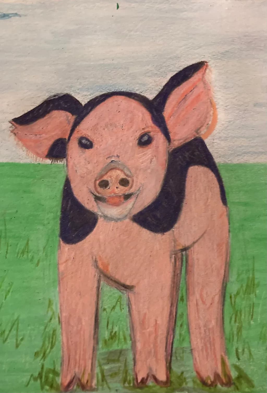 Spotted Piglet