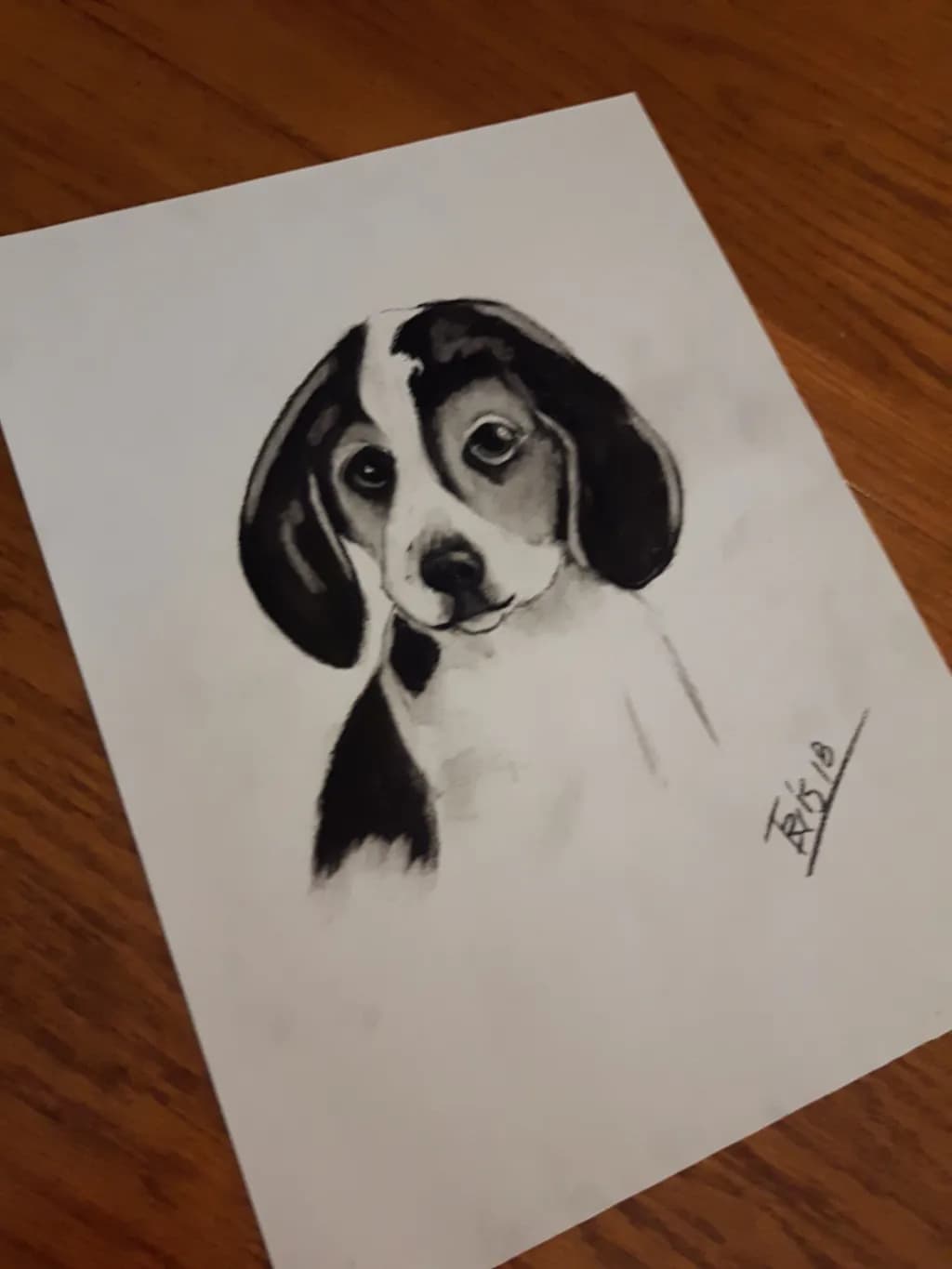 Soulful Pup