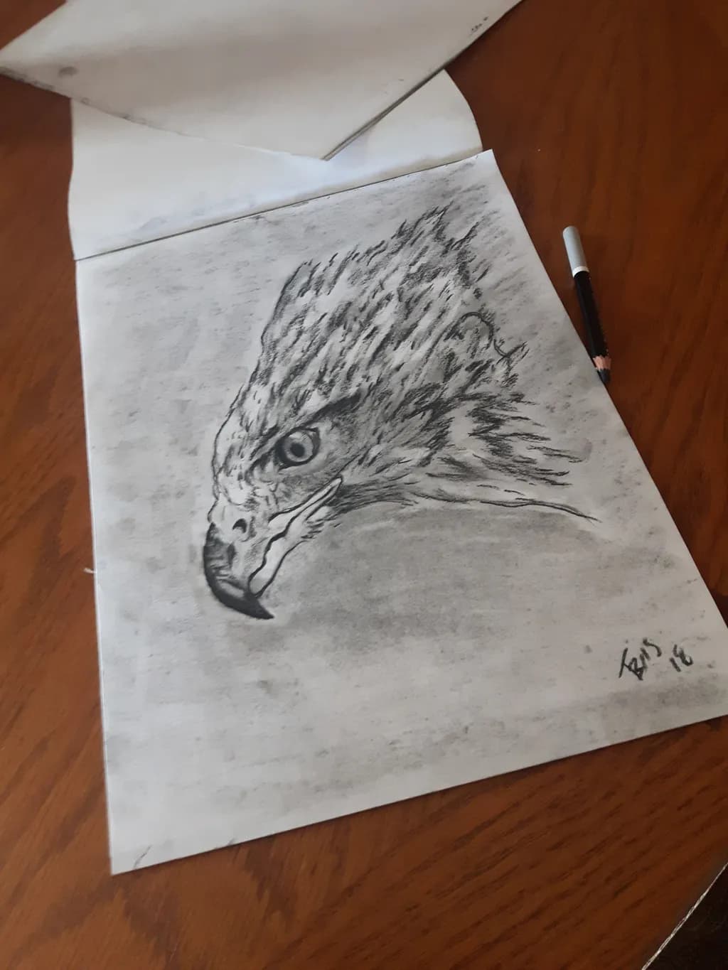Focused Raptor