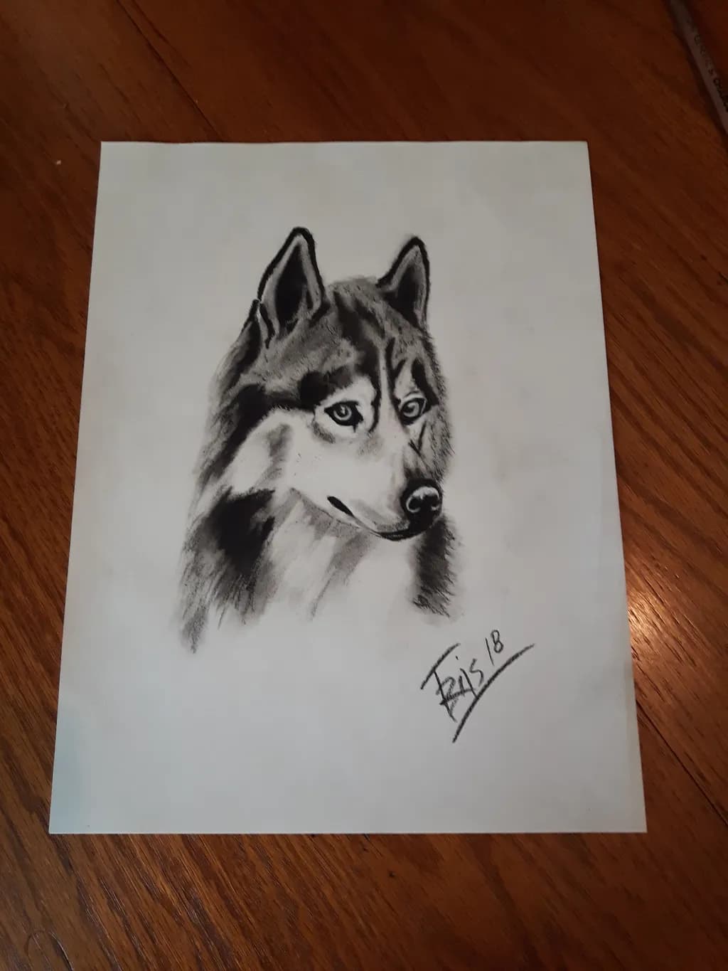 Wolf Portrait Sketch