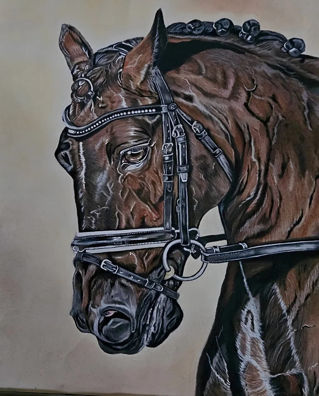Bridle Strength
