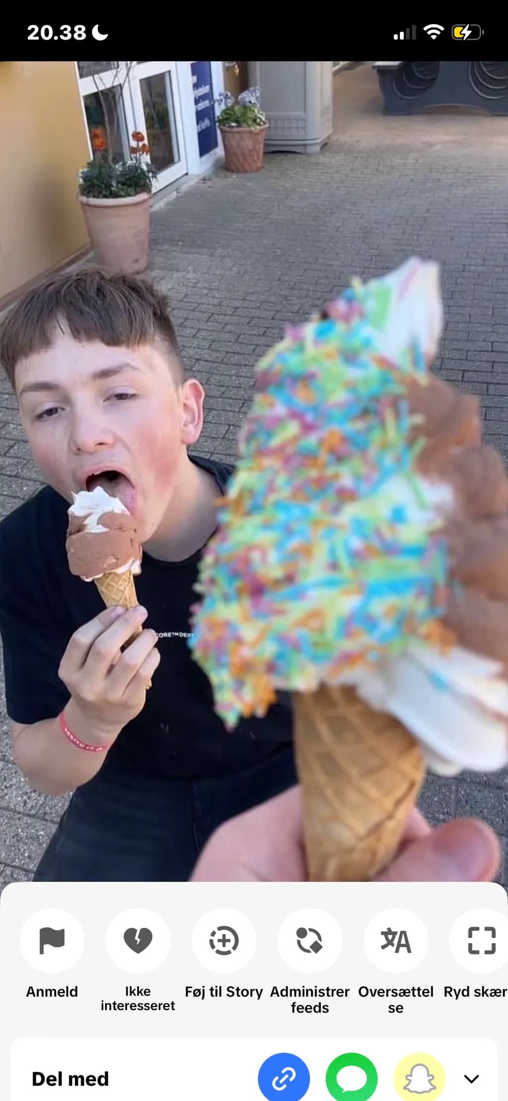 Sprinkle Delight
