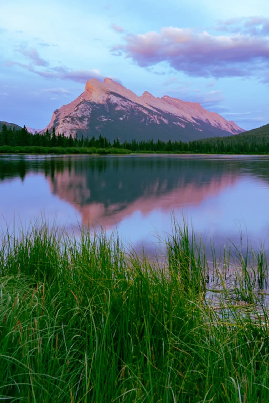 Rosy Reflection