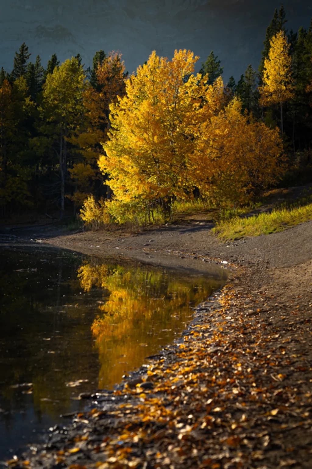 Autumn's Majesty