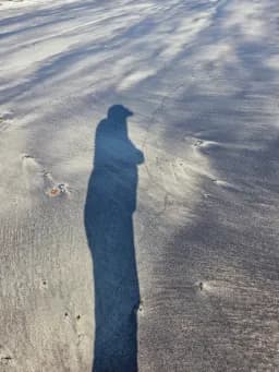 Long Shadow