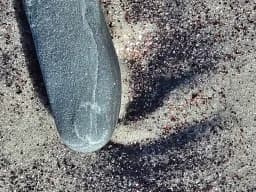 Buddha Toe