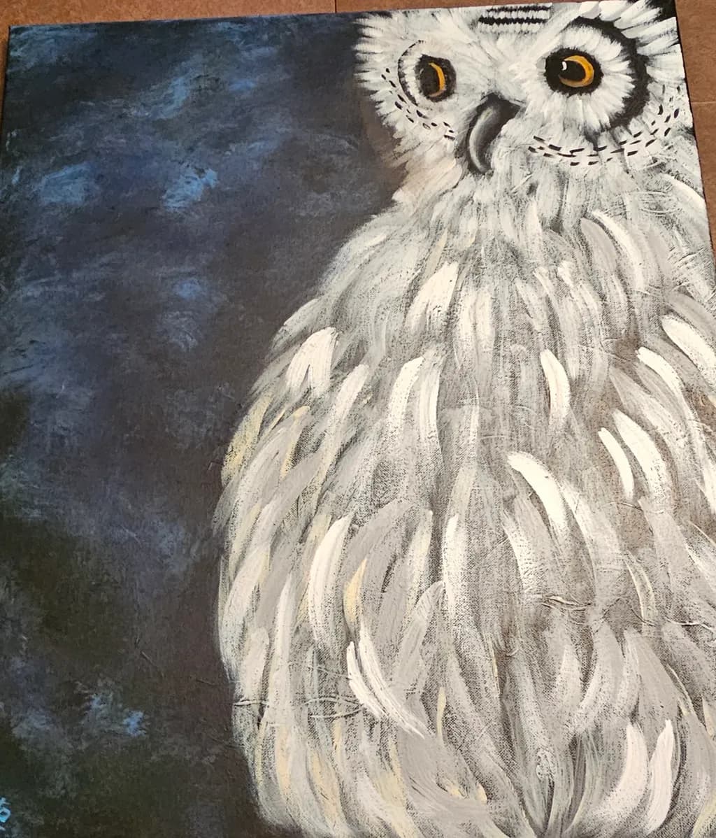 Golden-Eyed Owl