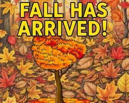 Fall Has Arrived