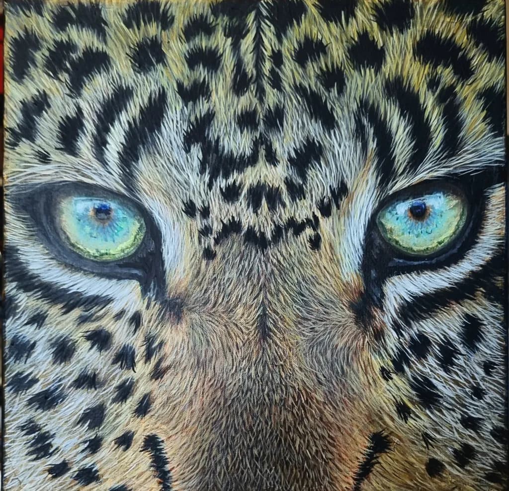 Jaguar Gaze