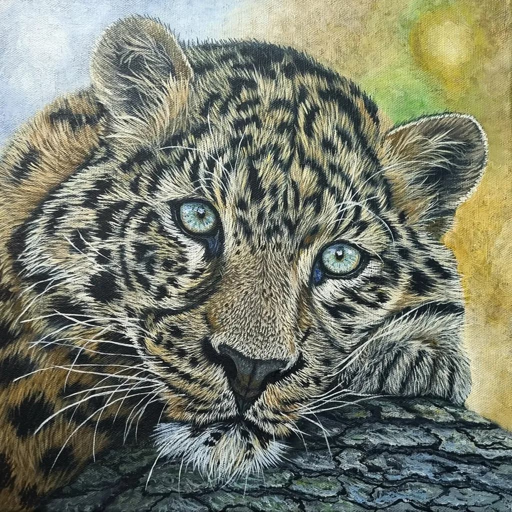 Gaze of the Leopard