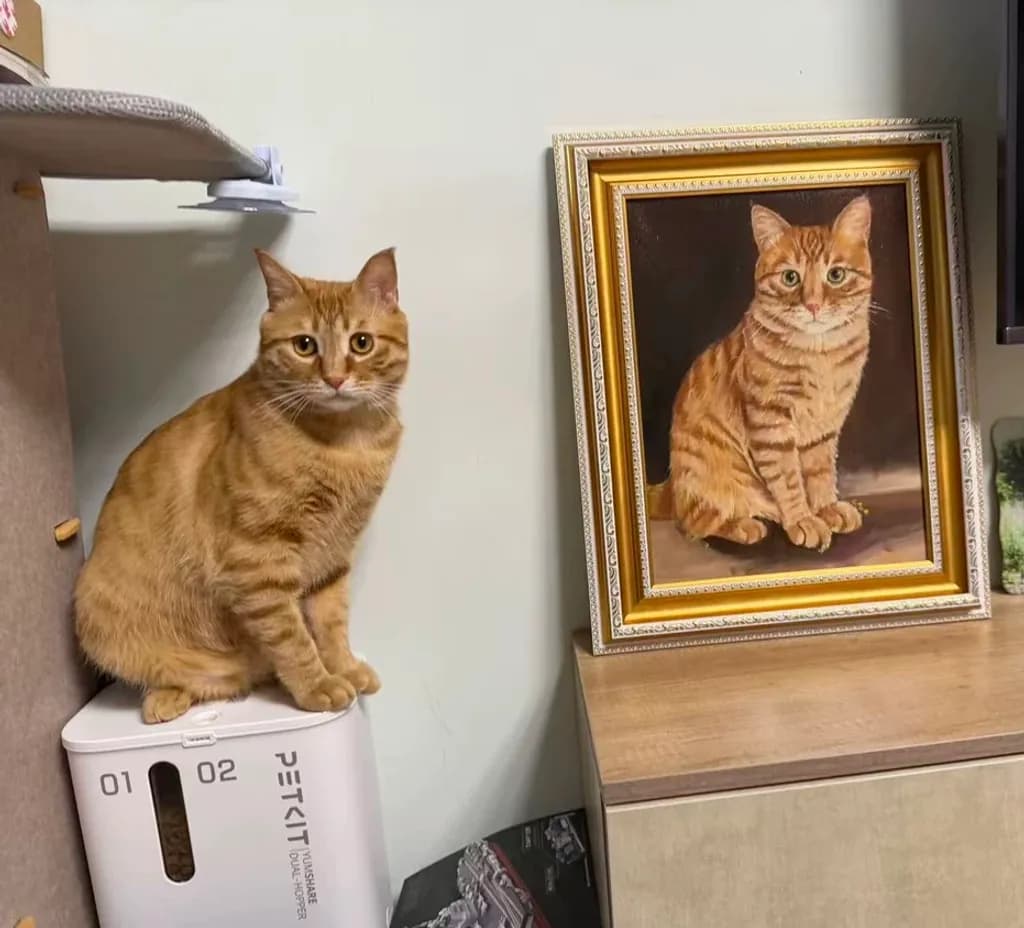 Mirror Companion