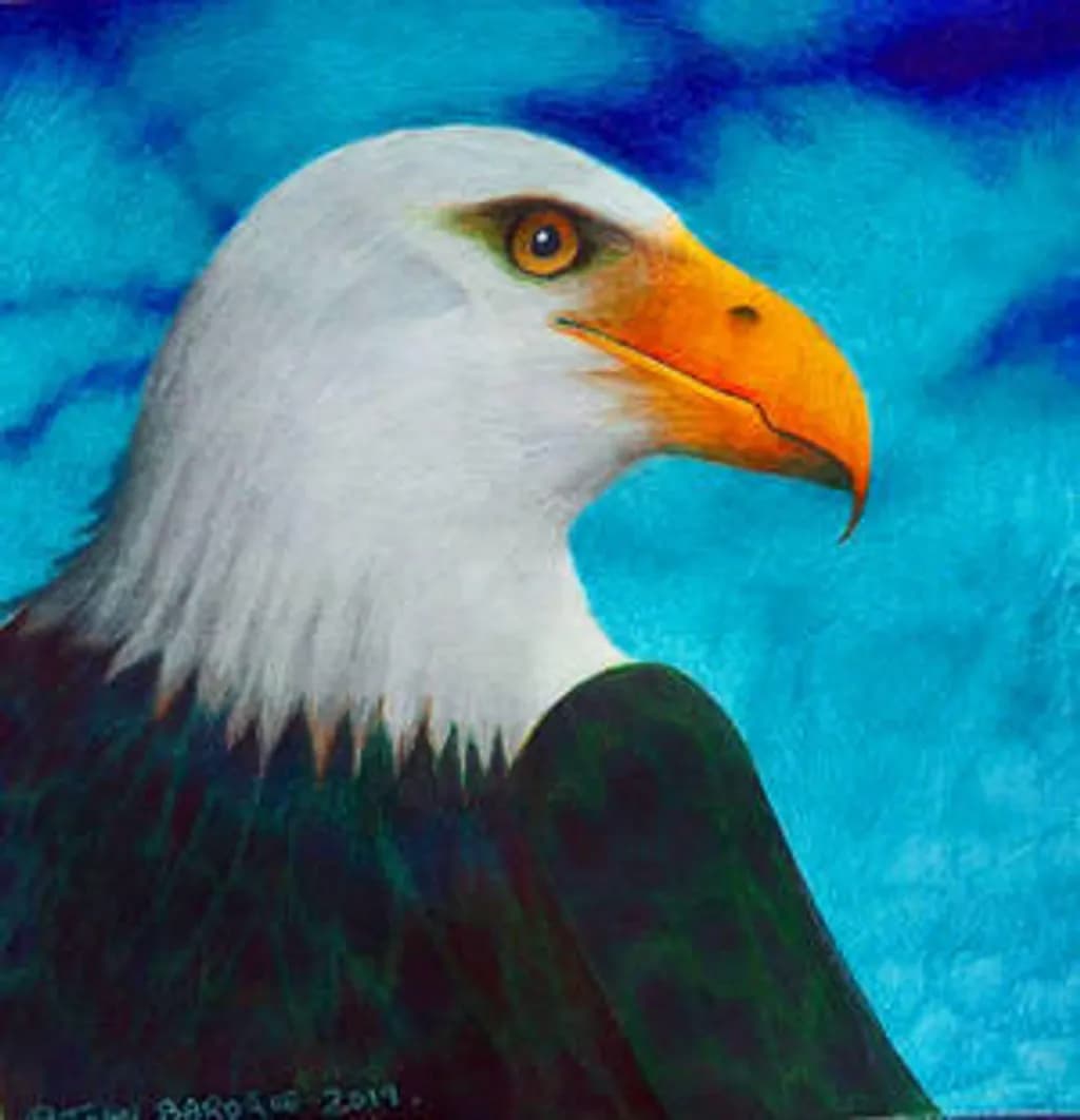 Kayla the Bald Eagle