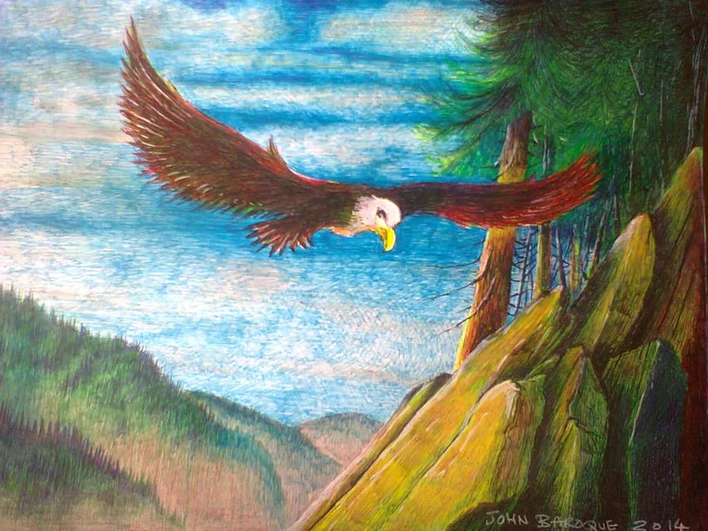Kaylah the Bald Eagle