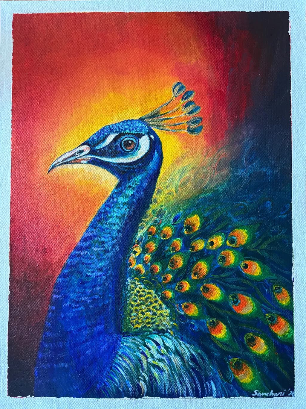 Radiant Peacock