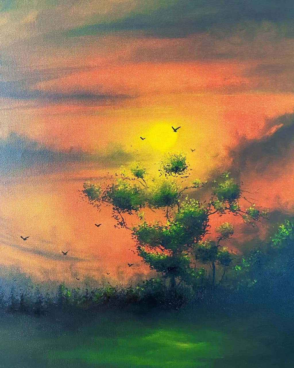 Sunset Birds over Trees