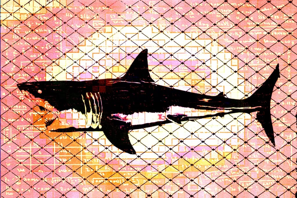 Shark Burst