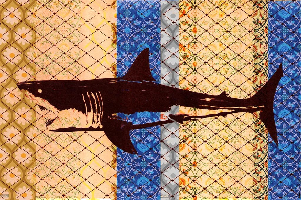 Shark on Wallpaper
