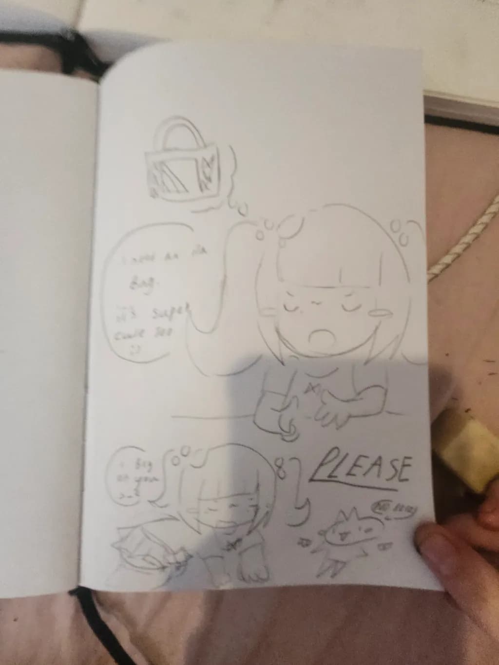 The Bag Wish